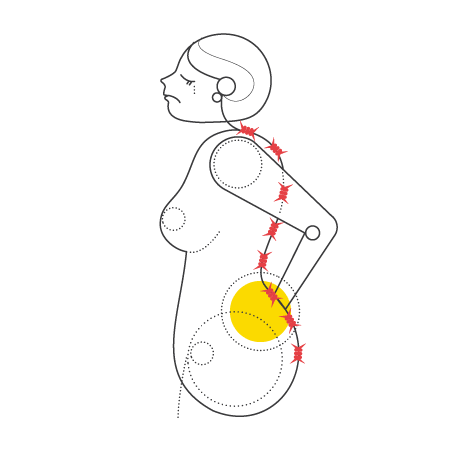 Book a network spinal consultation at the Lifewise chiropractic practice in Adelaide