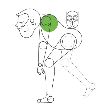 Book a network spinal consultation at the Lifewise chiropractic practice in Adelaide
