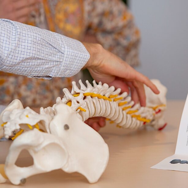 Ben Whittall providing gentle network spinal care at the Lifewise Network Care chiropractic practice in Adelaide