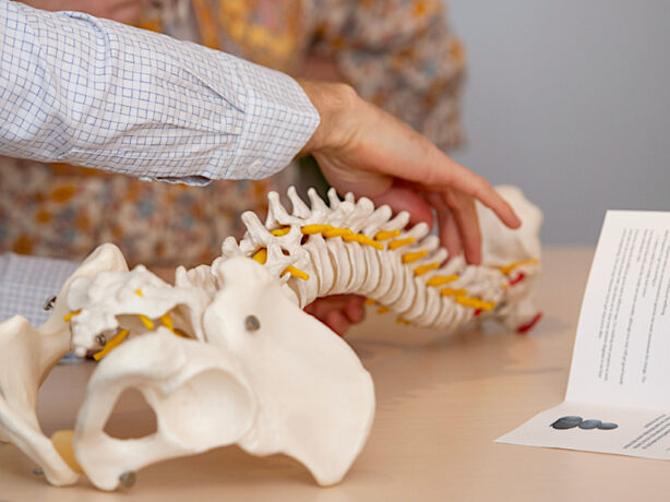 Ben Whittall providing gentle network spinal care at the Lifewise Network Care chiropractic practice in Adelaide