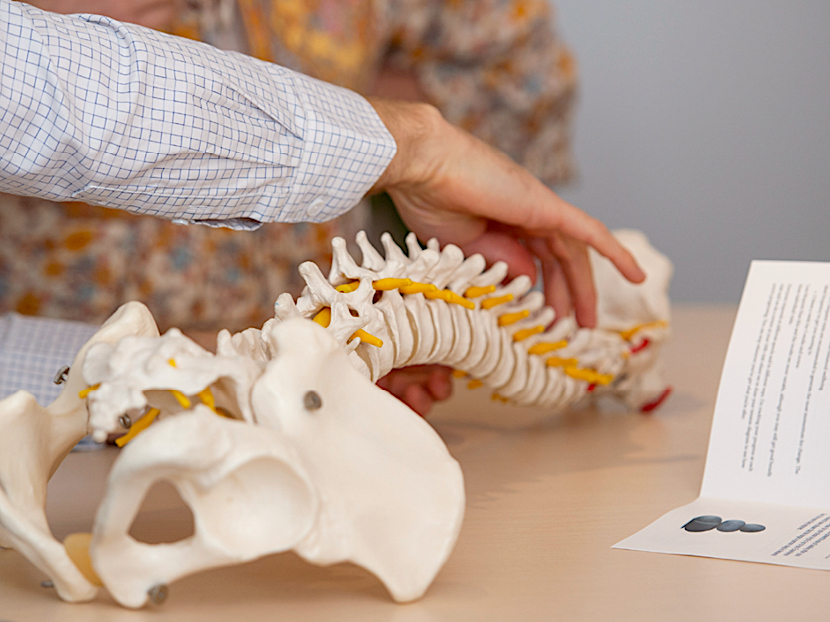 Book a network spinal consultation at the Lifewise chiropractic practice in Adelaide